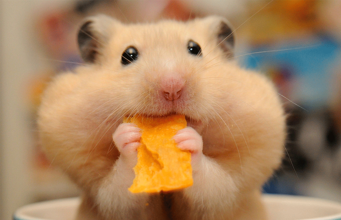 НОВОСТИ компаний 