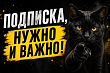 Безопасность как управление активами: почему подписка на экспертизу дешевле ошибки