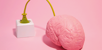 В СЕТИ: Проверка адекватности